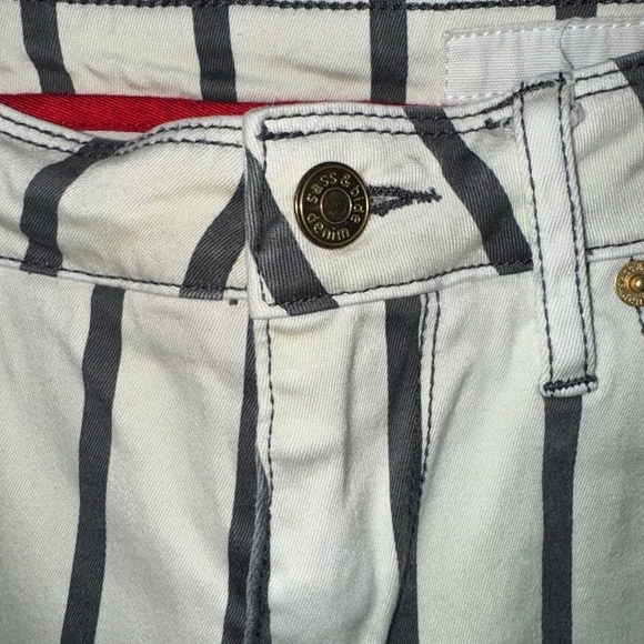 Sass and Bide Seeker State Striped Cropped Skinny Raw Hem Jeans Size 25 - Picture 4 of 8